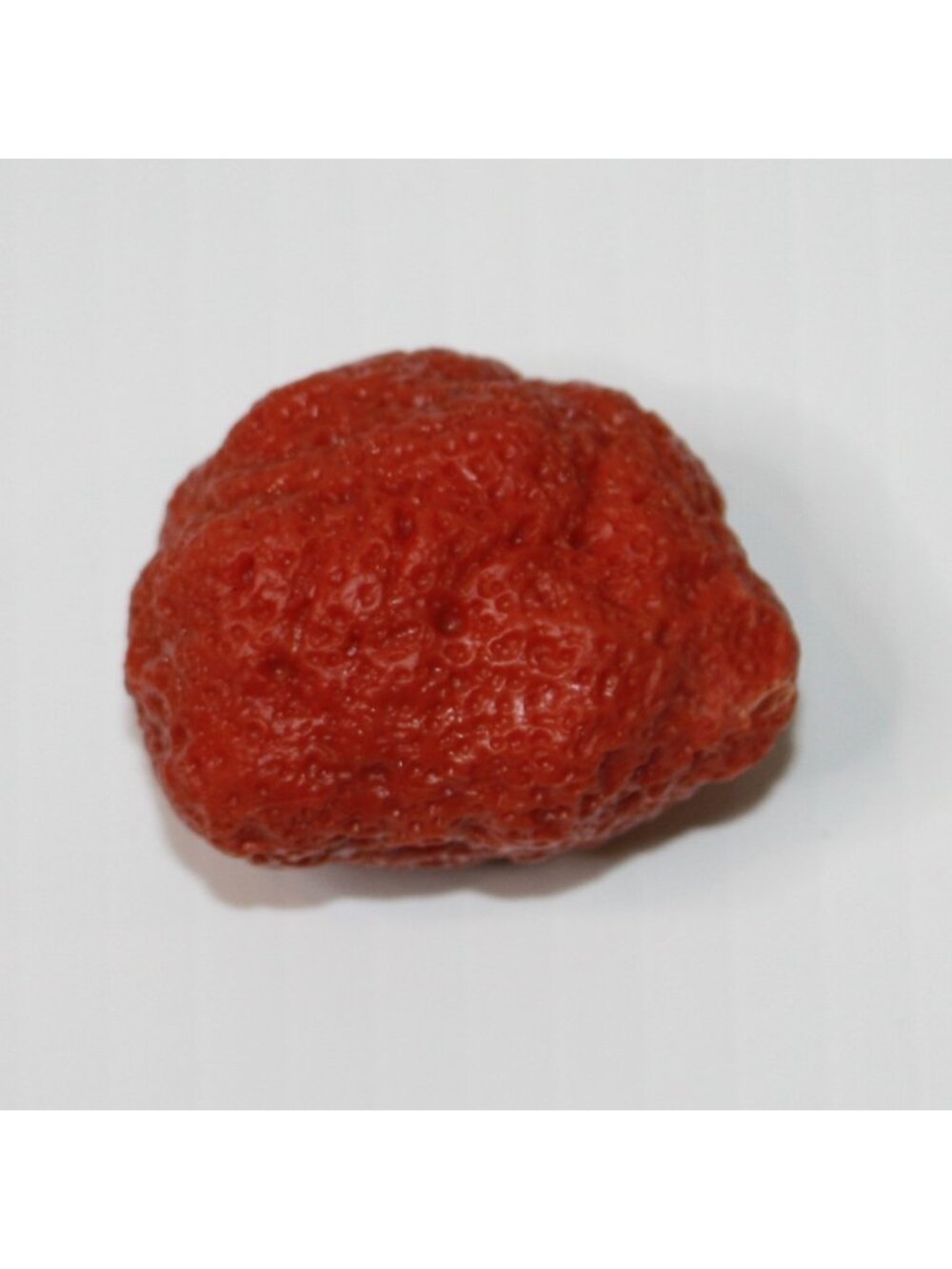 American Girl GOTY 2018 Luciana Red Faux Rock Sample from Mars Habitat for dolls